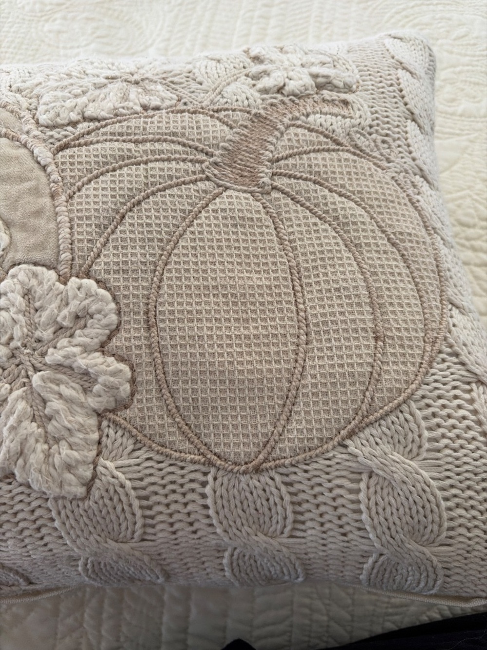 Autumn Hill Cream Cable Knit Embroidered Pumpkin Feather Pillow Exc - Picture 9 of 9